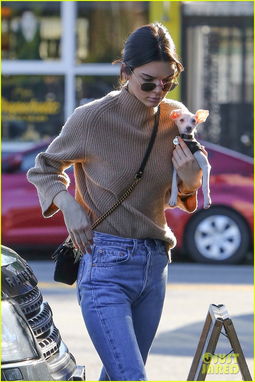 kendall jenner brings her christmas puppy to lunch 01