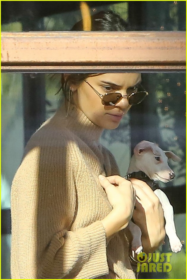 kendall jenner brings her christmas puppy to lunch 03