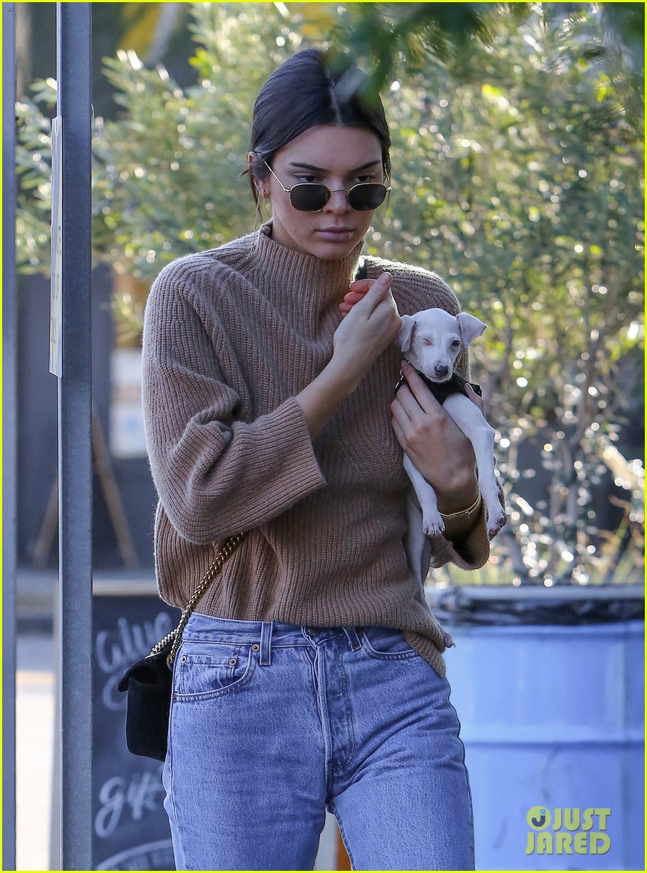 kendall jenner brings her christmas puppy to lunch 06