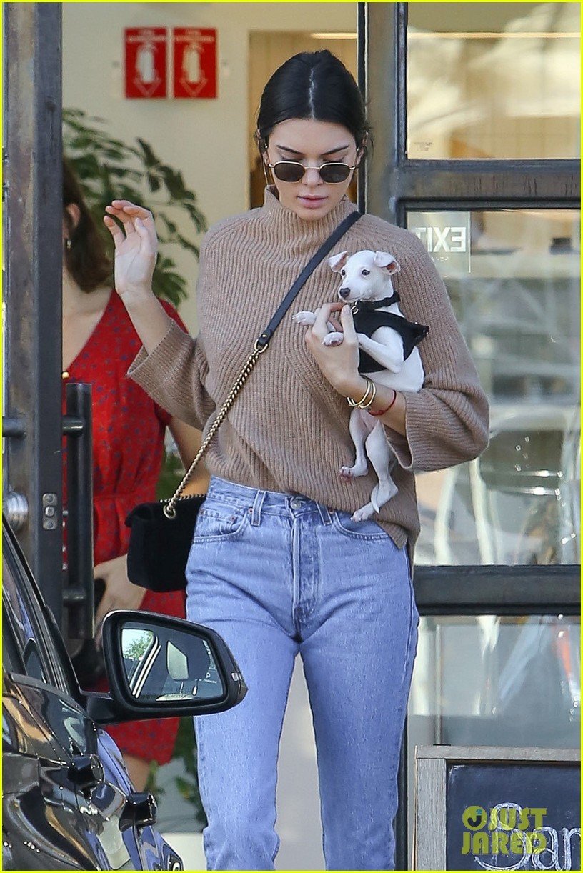 kendall jenner brings her christmas puppy to lunch 07