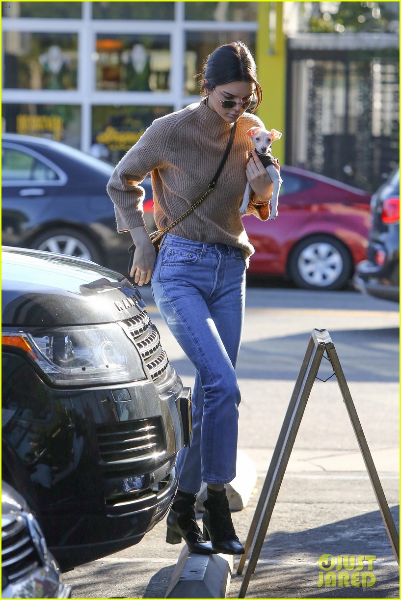 kendall jenner brings her christmas puppy to lunch 08