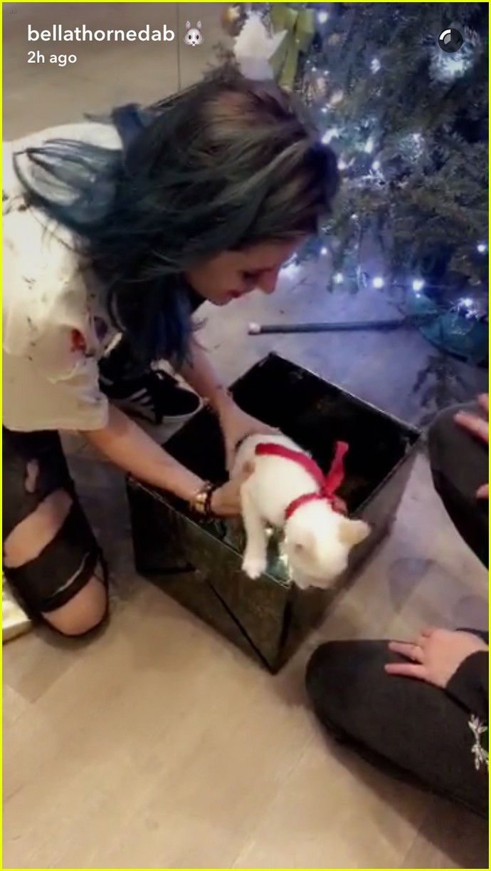 bella thorne workout blue outfit new cat possibly snaps 36