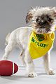 what is the puppy bowl 13
