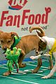 what is the puppy bowl 42