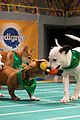 what is the puppy bowl 53
