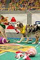 what is the puppy bowl 73
