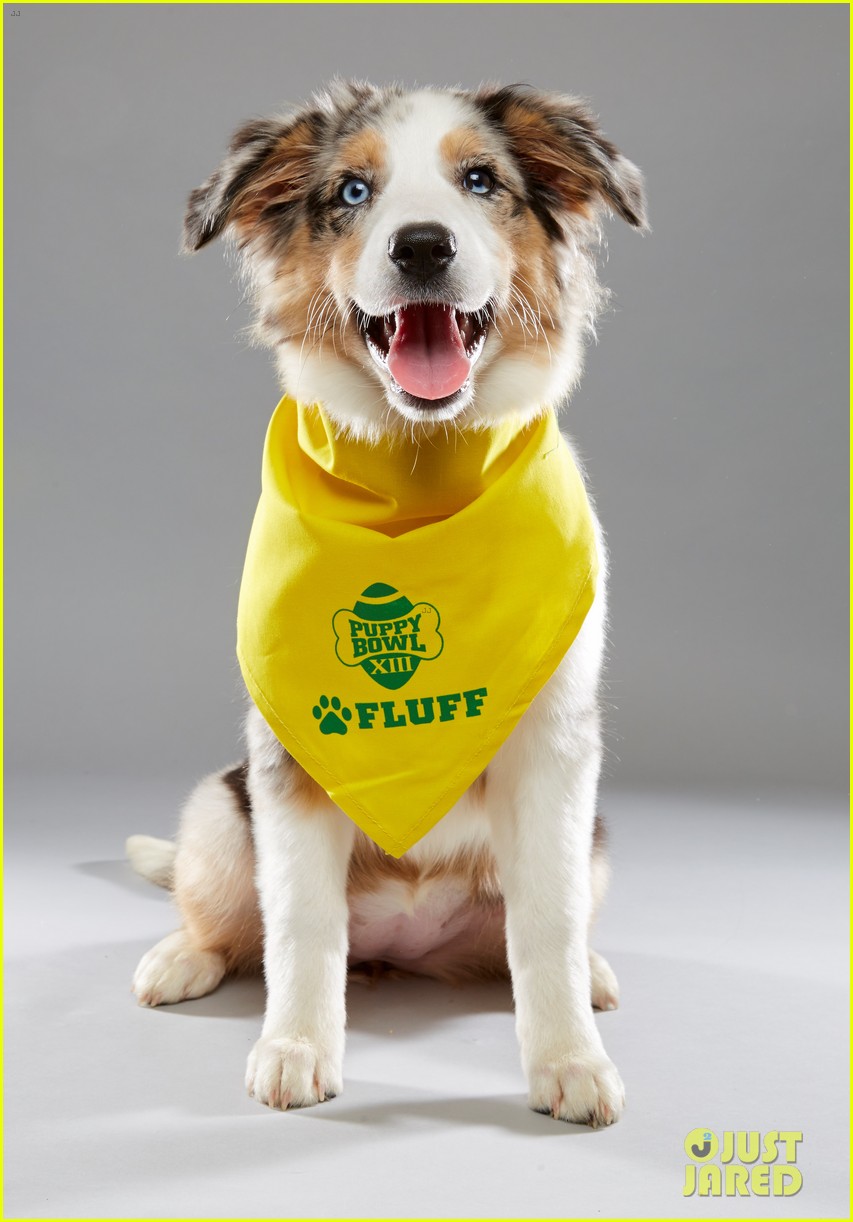 what is the puppy bowl 18