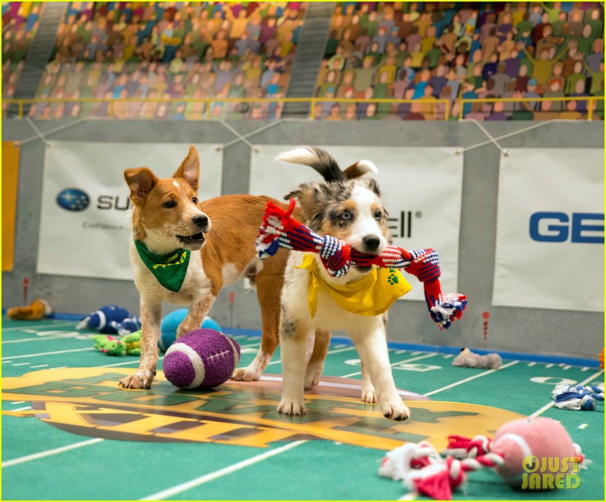 what is the puppy bowl 22