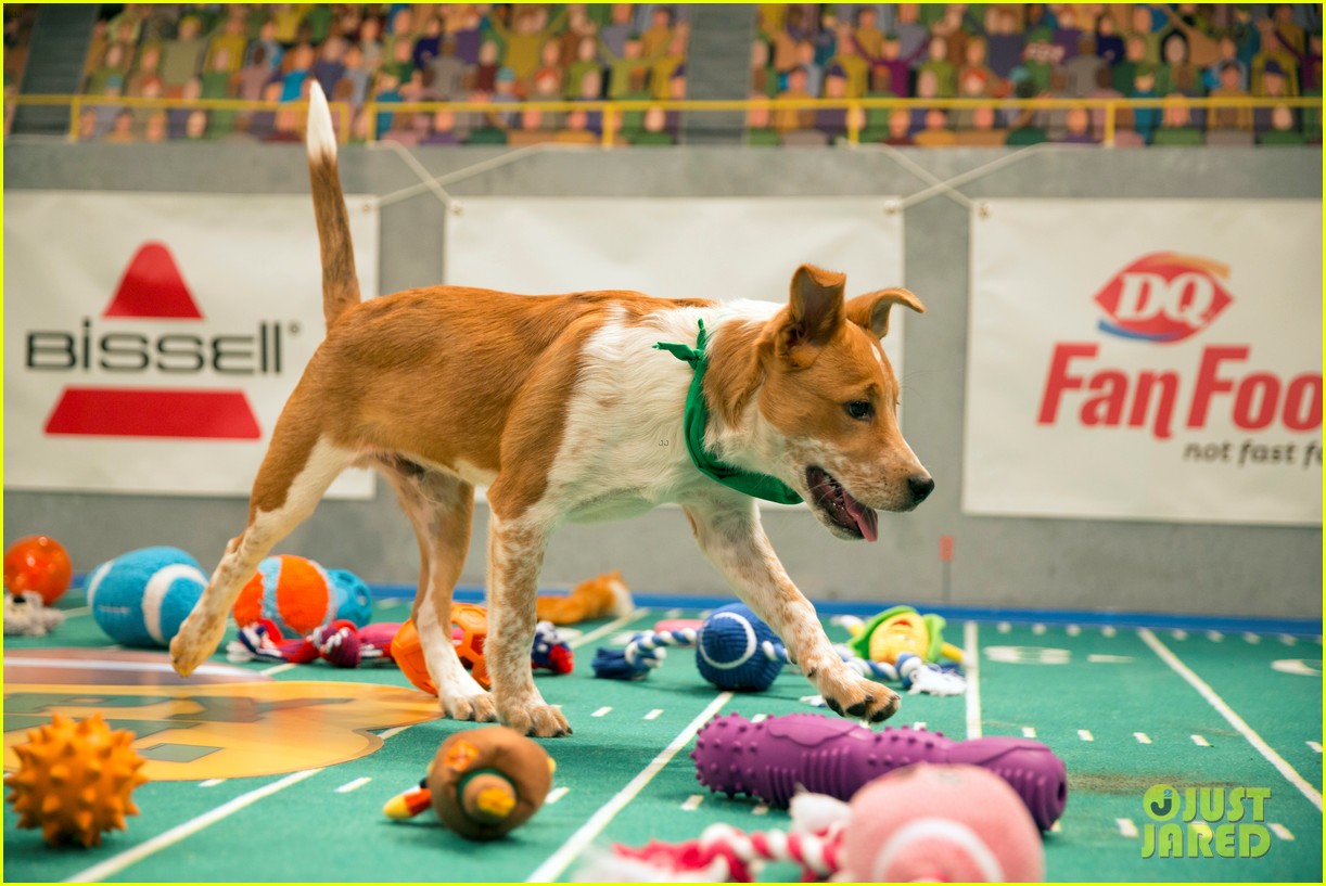 what is the puppy bowl 23