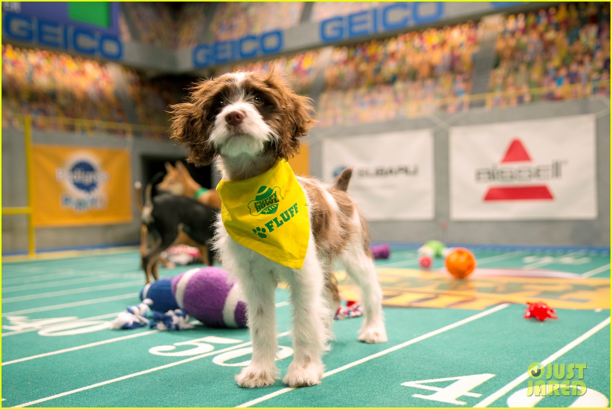 what is the puppy bowl 46