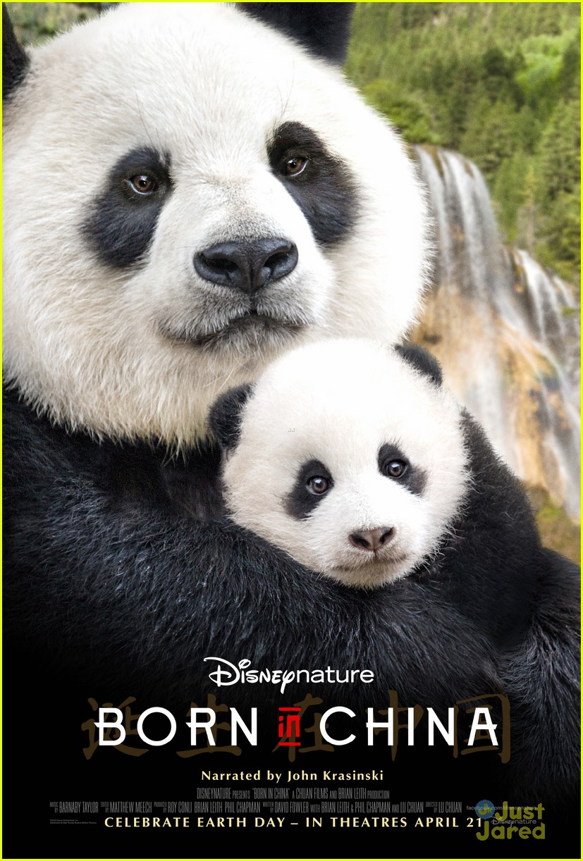 born china snow leopard story pandas monkeys 45