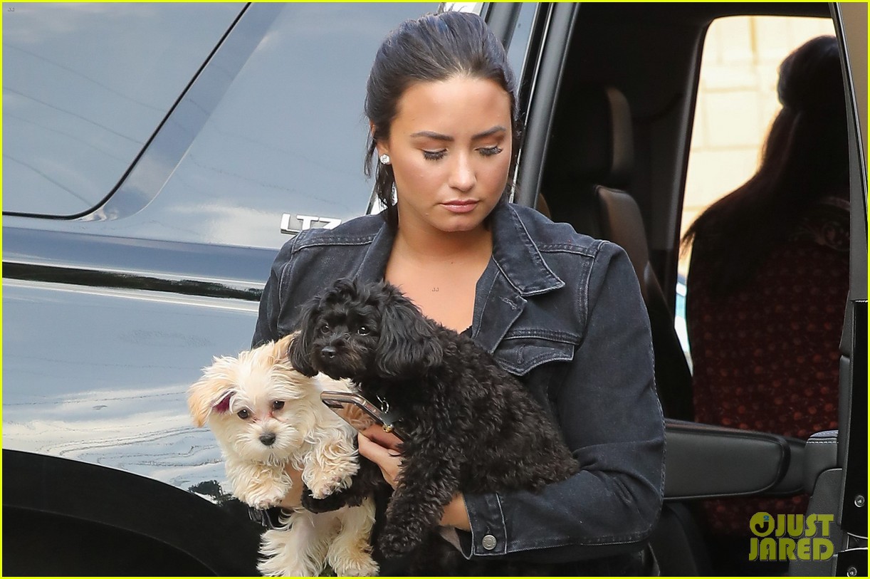 Demi Lovato Brings an Armful of Puppies to the Studio! | Photo 1079515 ...