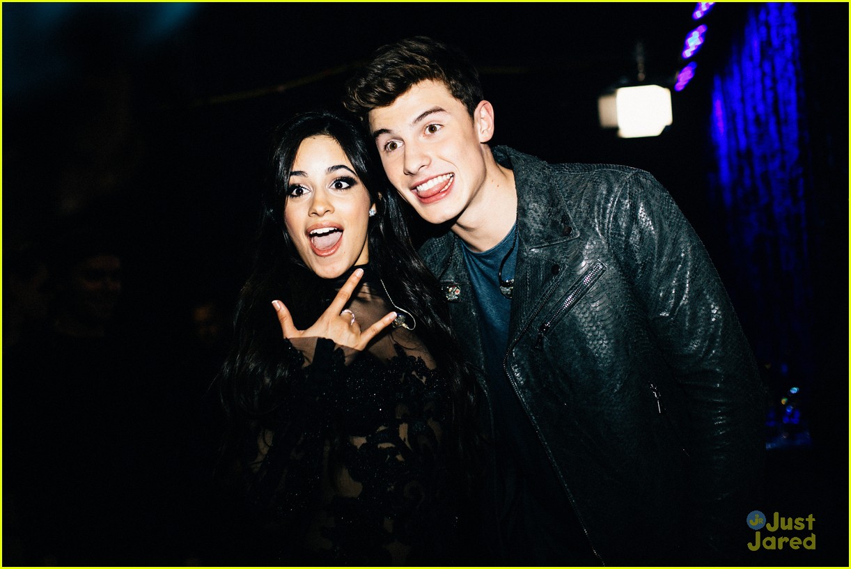 shawn mendes love camila questions song 04