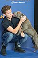 tom hollands pet pooch steals the show at spider man homecoming london 04