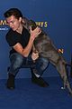 tom hollands pet pooch steals the show at spider man homecoming london 13