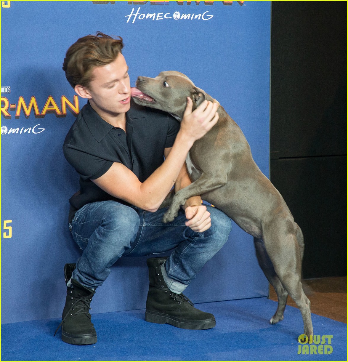 tom hollands pet pooch steals the show at spider man homecoming london 04