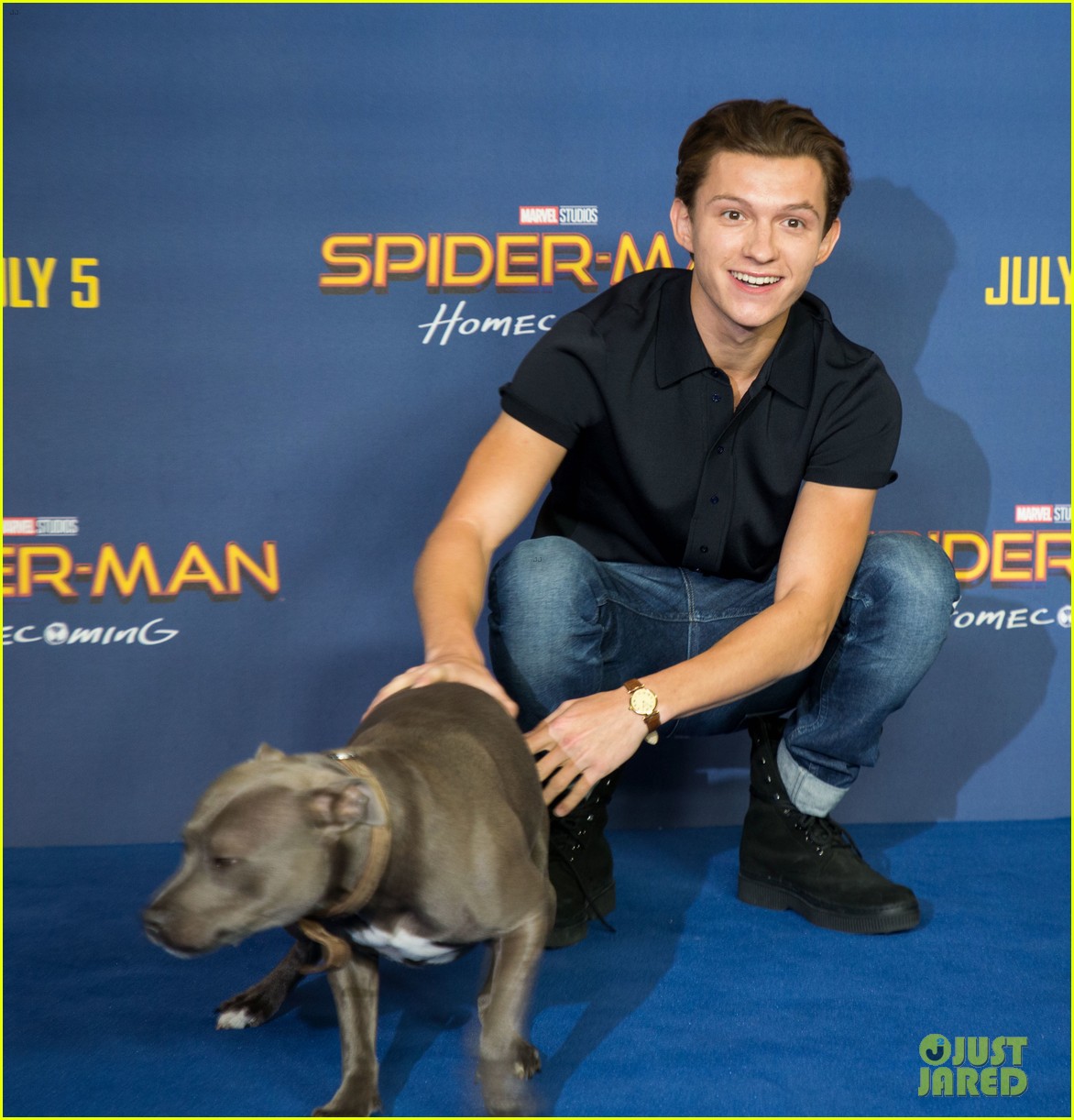 tom hollands pet pooch steals the show at spider man homecoming london 17