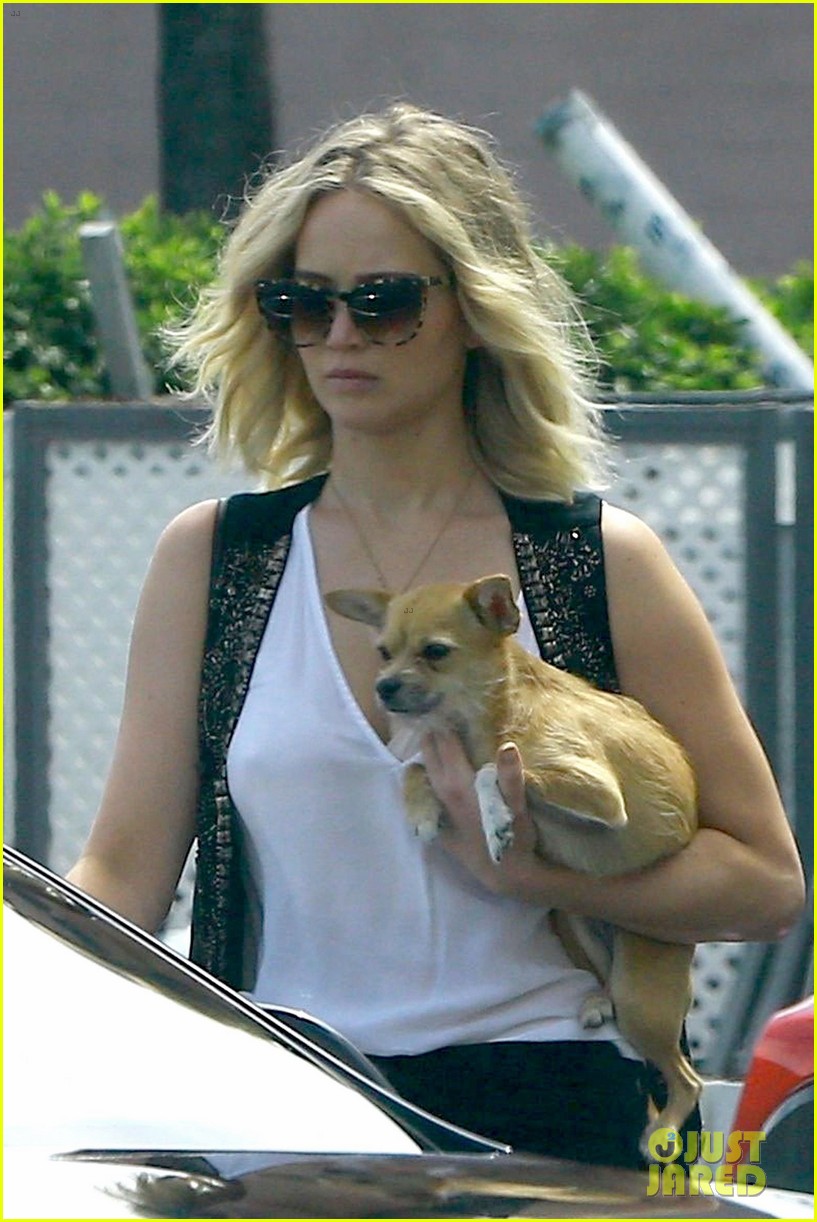 jennifer lawrence holds her dog close while out in westwood 02