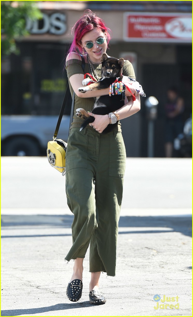 bella thorne new dog out lunch sunday 10