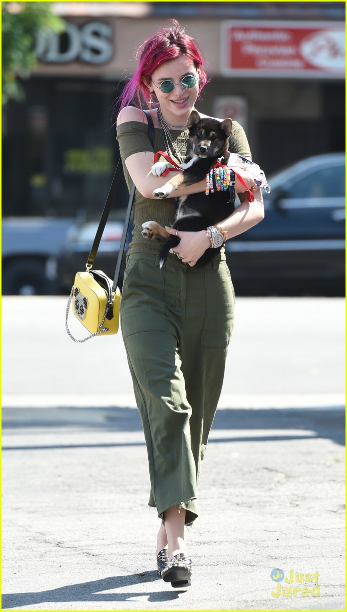 bella thorne new dog out lunch sunday 11