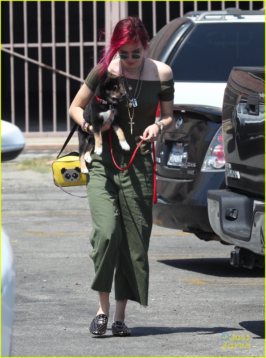 bella thorne new dog out lunch sunday 17
