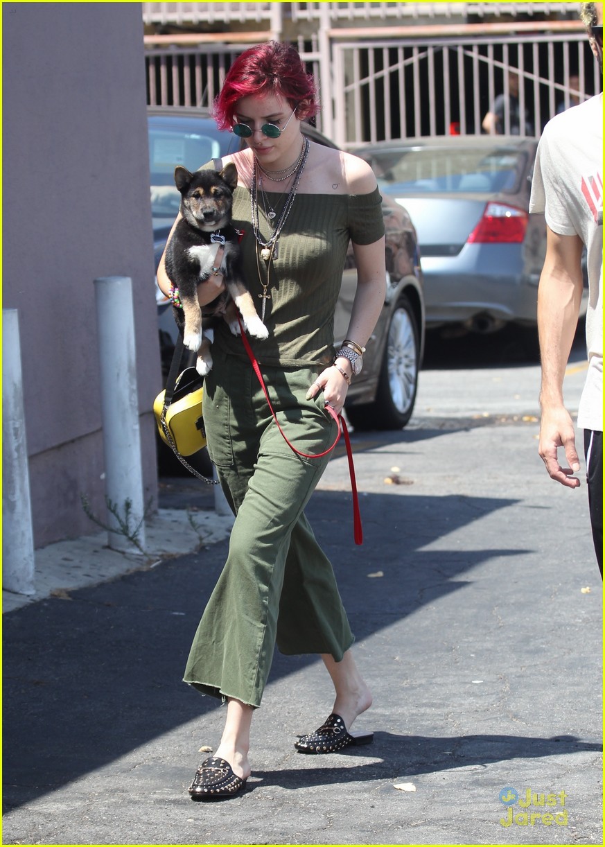 bella thorne new dog out lunch sunday 18