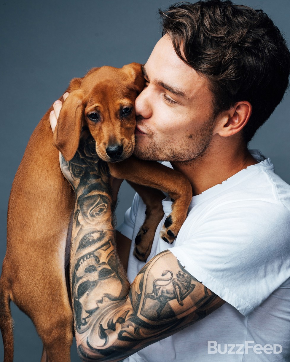 liam payne buzzfeed puppies zayn harry quotes 05