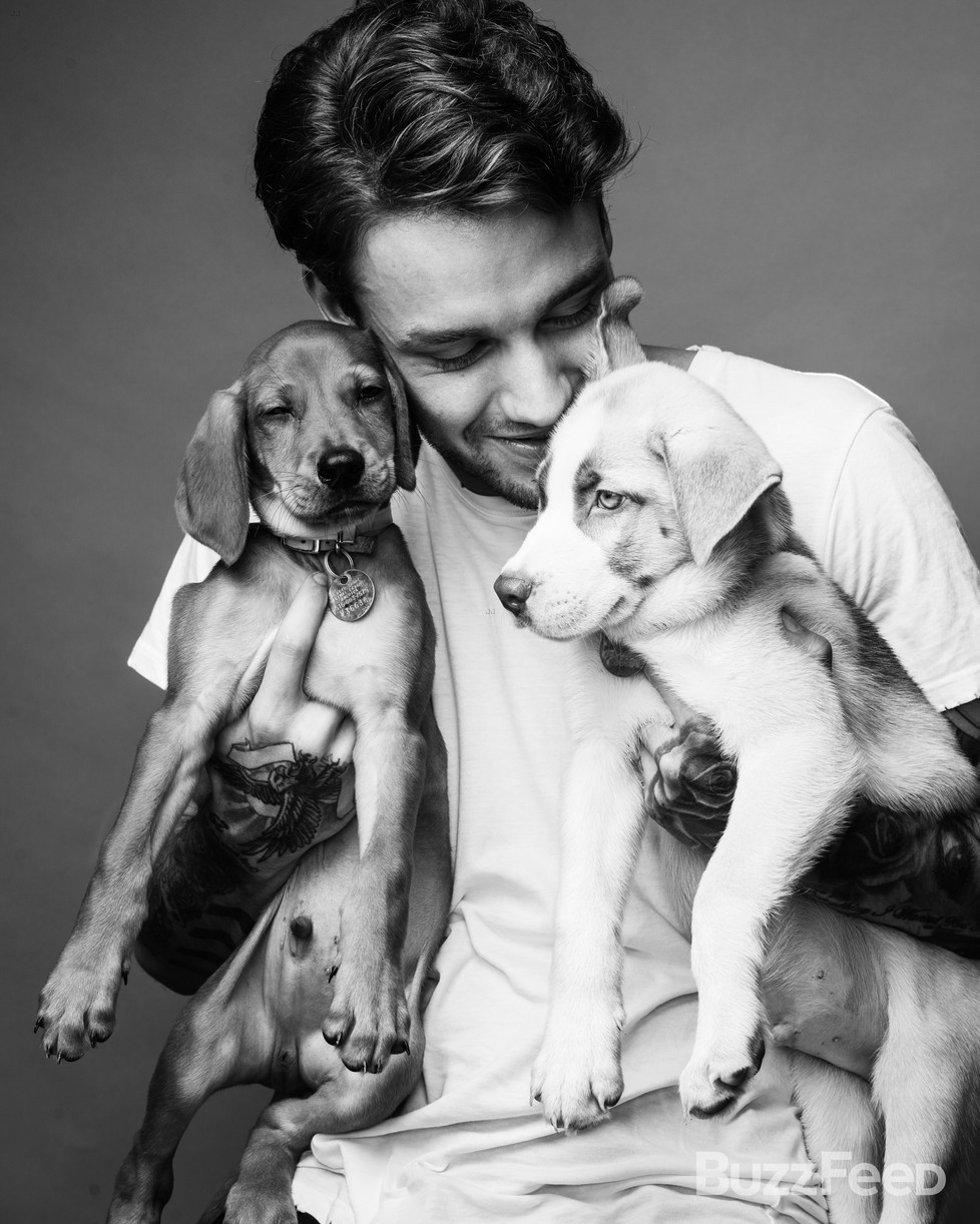 liam payne buzzfeed puppies zayn harry quotes 08