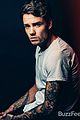 liam payne buzzfeed puppies zayn harry quotes 02