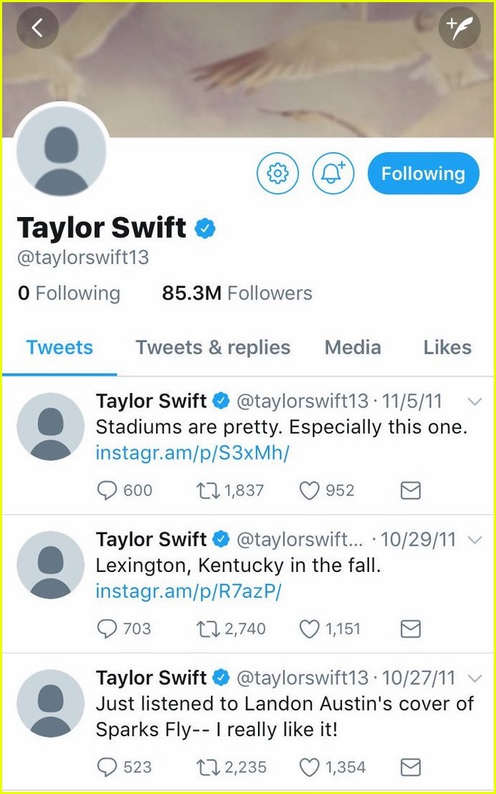 taylor swift social media accounts blanked out 04