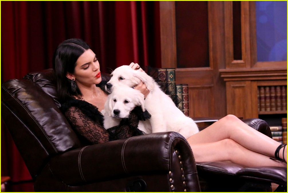 kendall jenner cuddles with puppies on tonight show 02