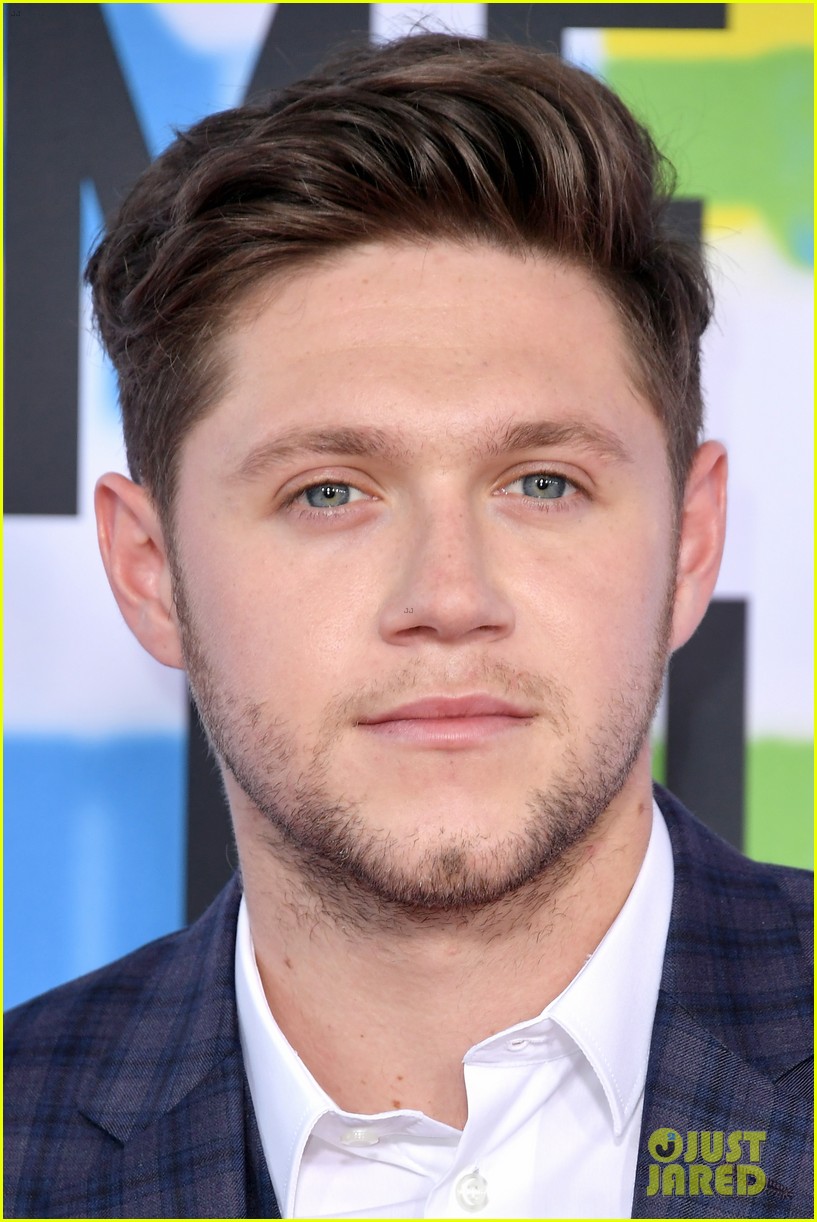 niall horan rocks a plaid suit for american music awards 2017 03