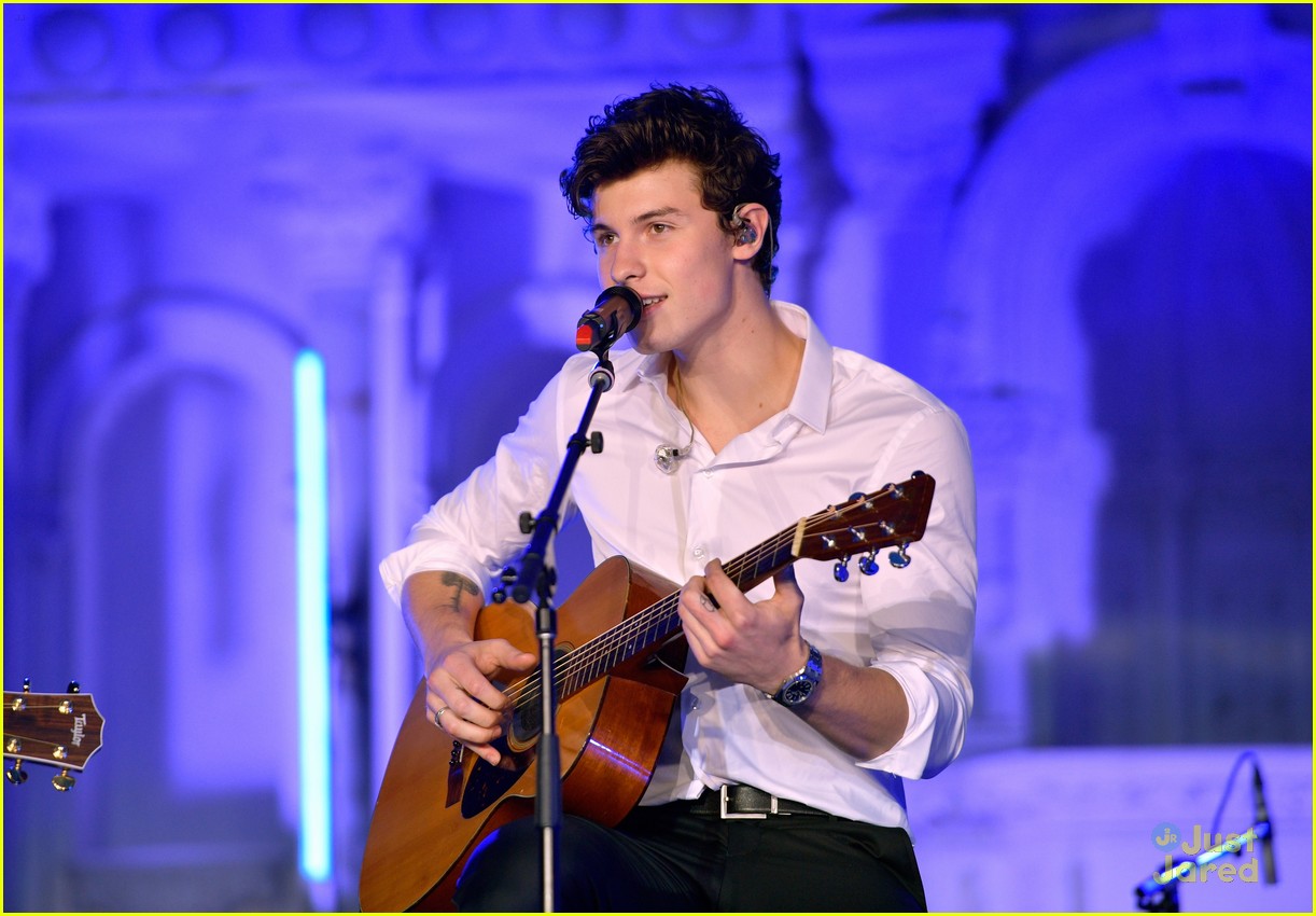 shawn mendes spotify concert event 12