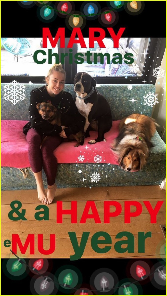 miley cyrus is celebrating christmas with her siblings pets 06