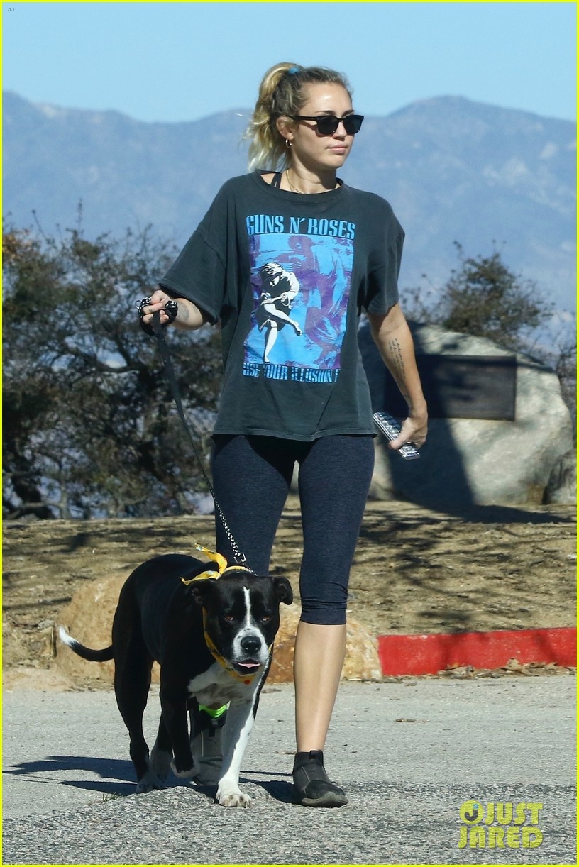 miley cyrus takes her dog for a hike in studio city 03
