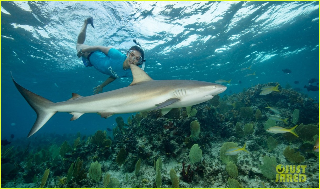 nina dobrev swims with sharks 04