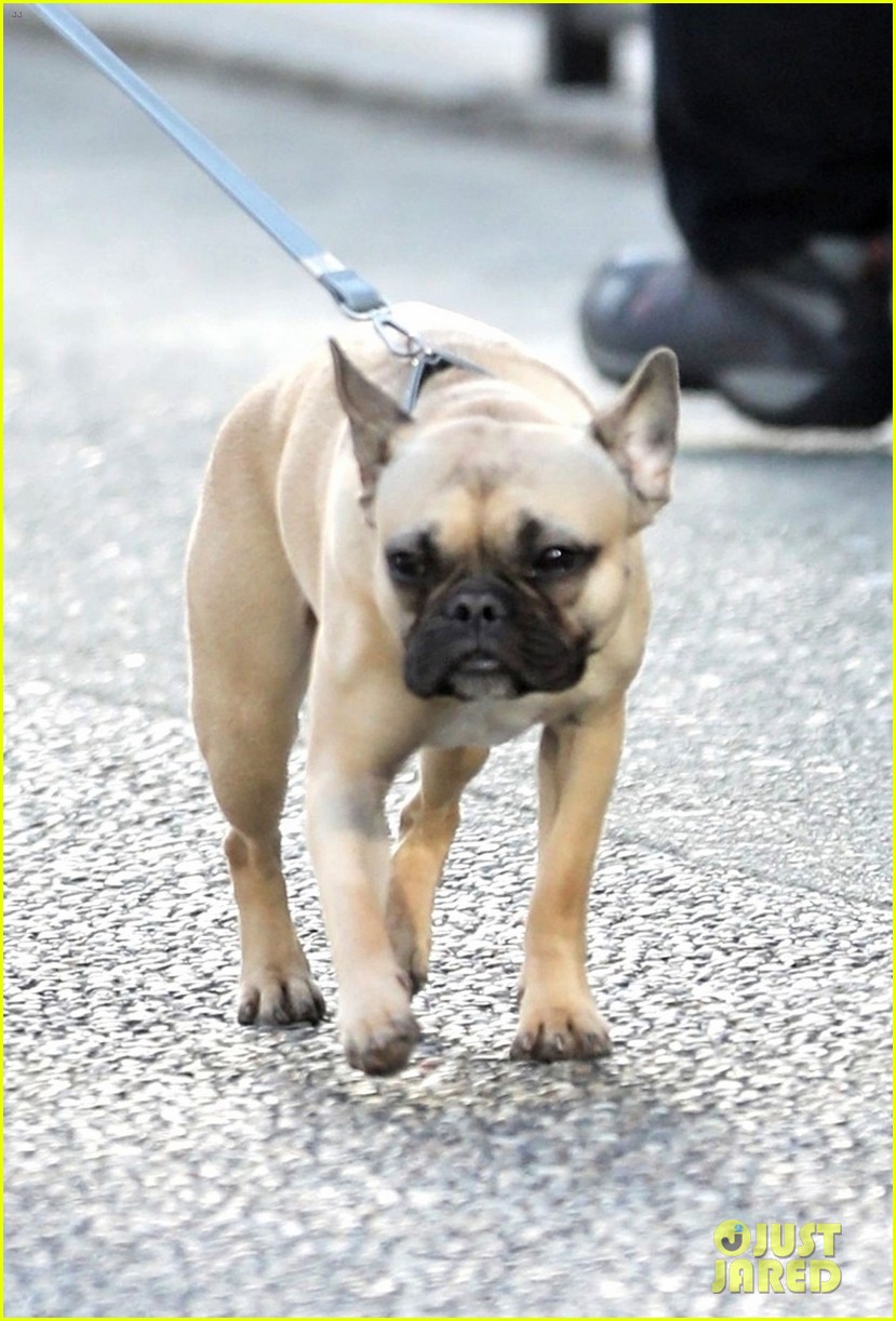 sarah jeffery walks adorable pup monty ahead of charmed filming 03