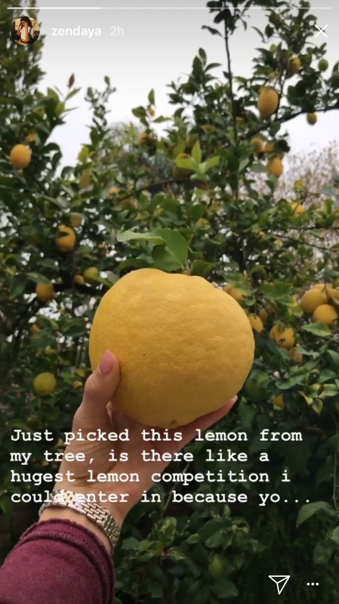 zendaya giant lemon social story 02
