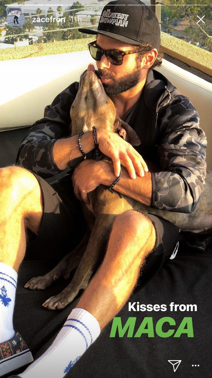 zac efron adopts fosters puppy maca 01