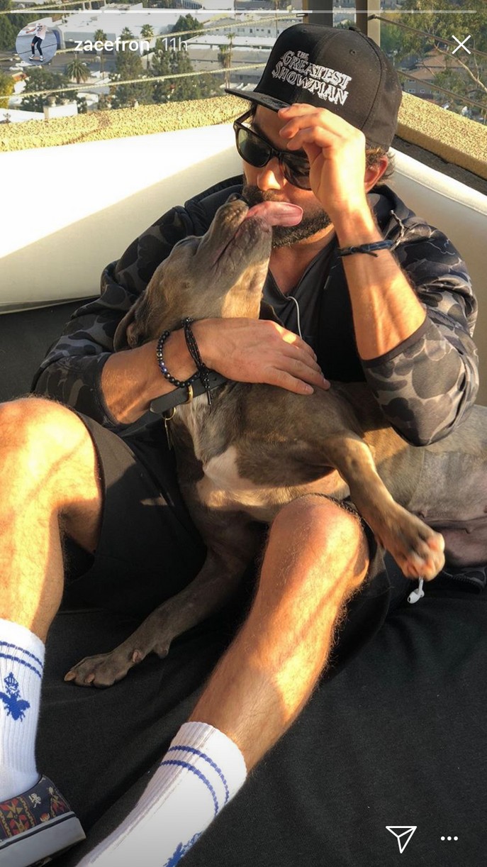 zac efron adopts fosters puppy maca 03