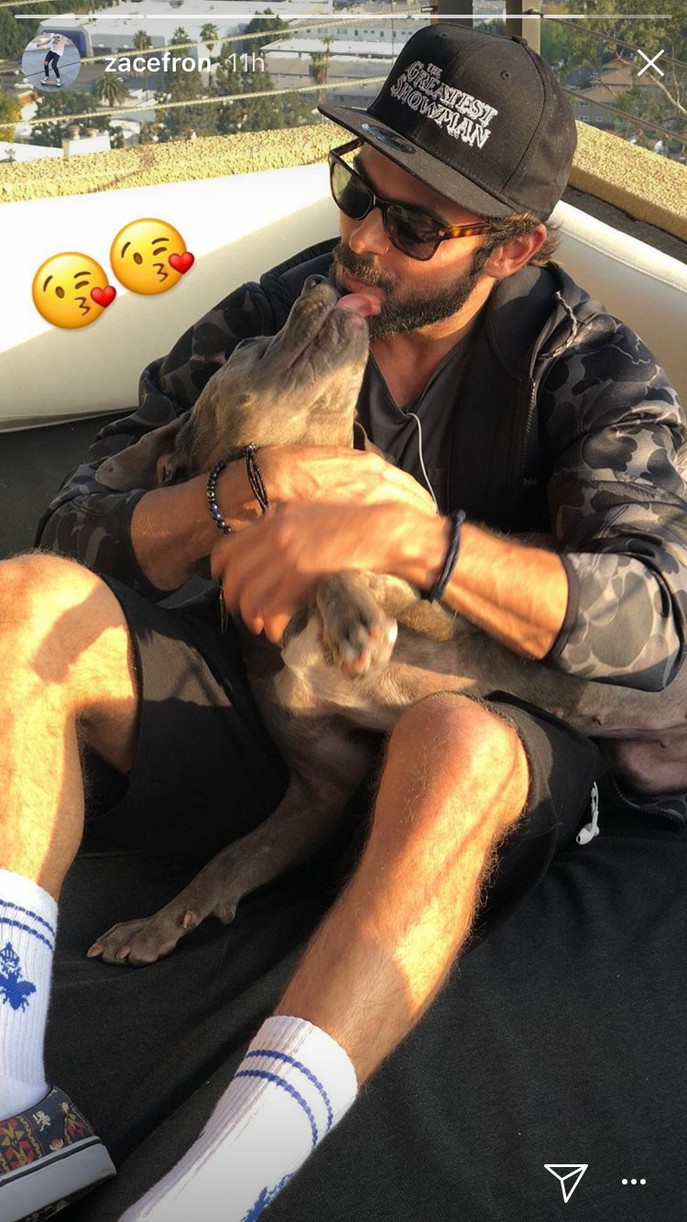 zac efron adopts fosters puppy maca 04