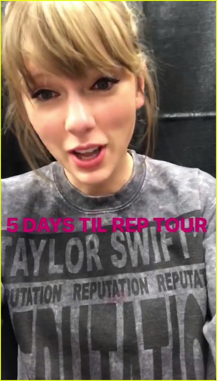 taylor swift teases costumes for reputation tour 01