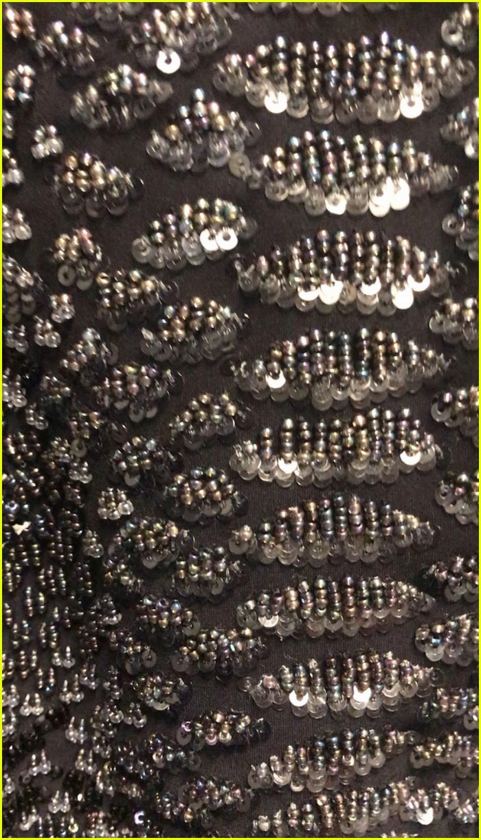 taylor swift teases costumes for reputation tour 04