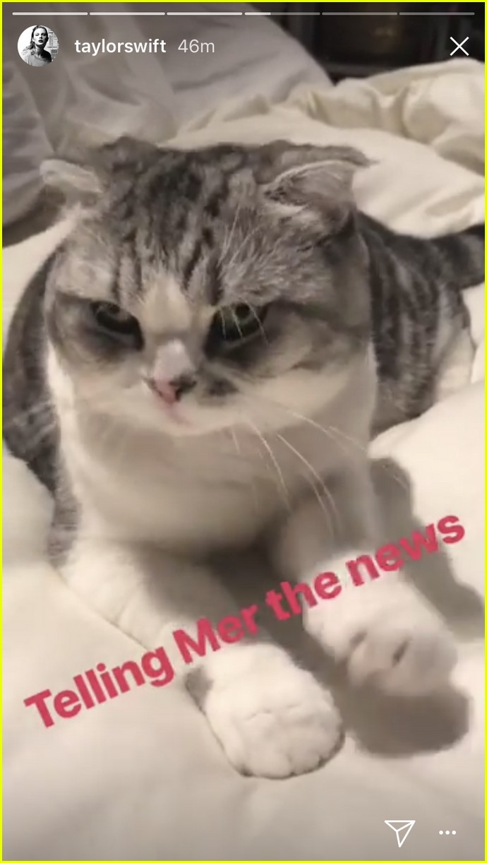 taylor swift reacts to cats olivia and merediths deadpool 2 cameo 02