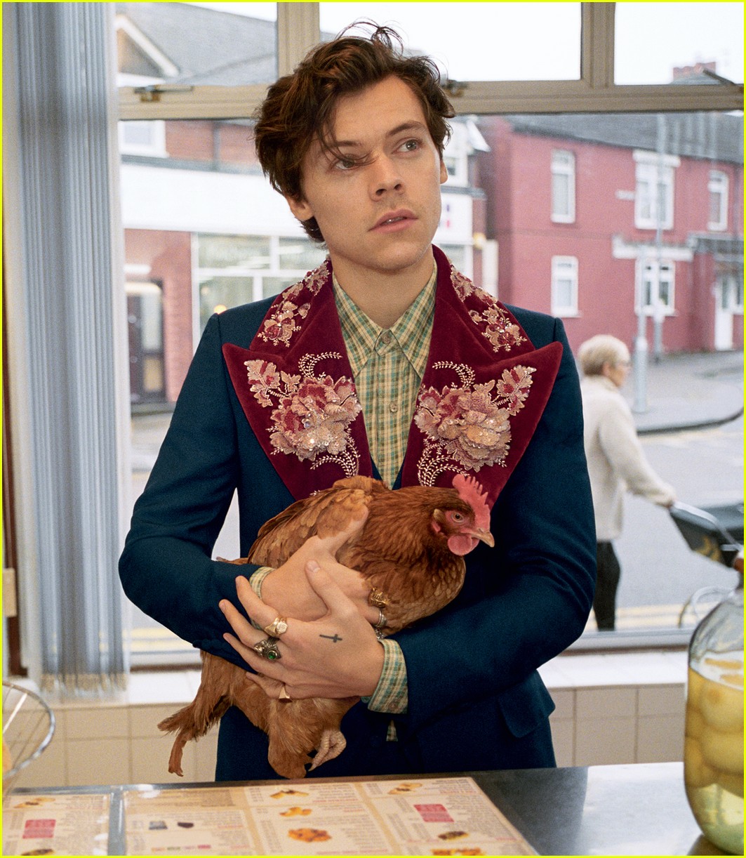harry styles gucci campaign 02