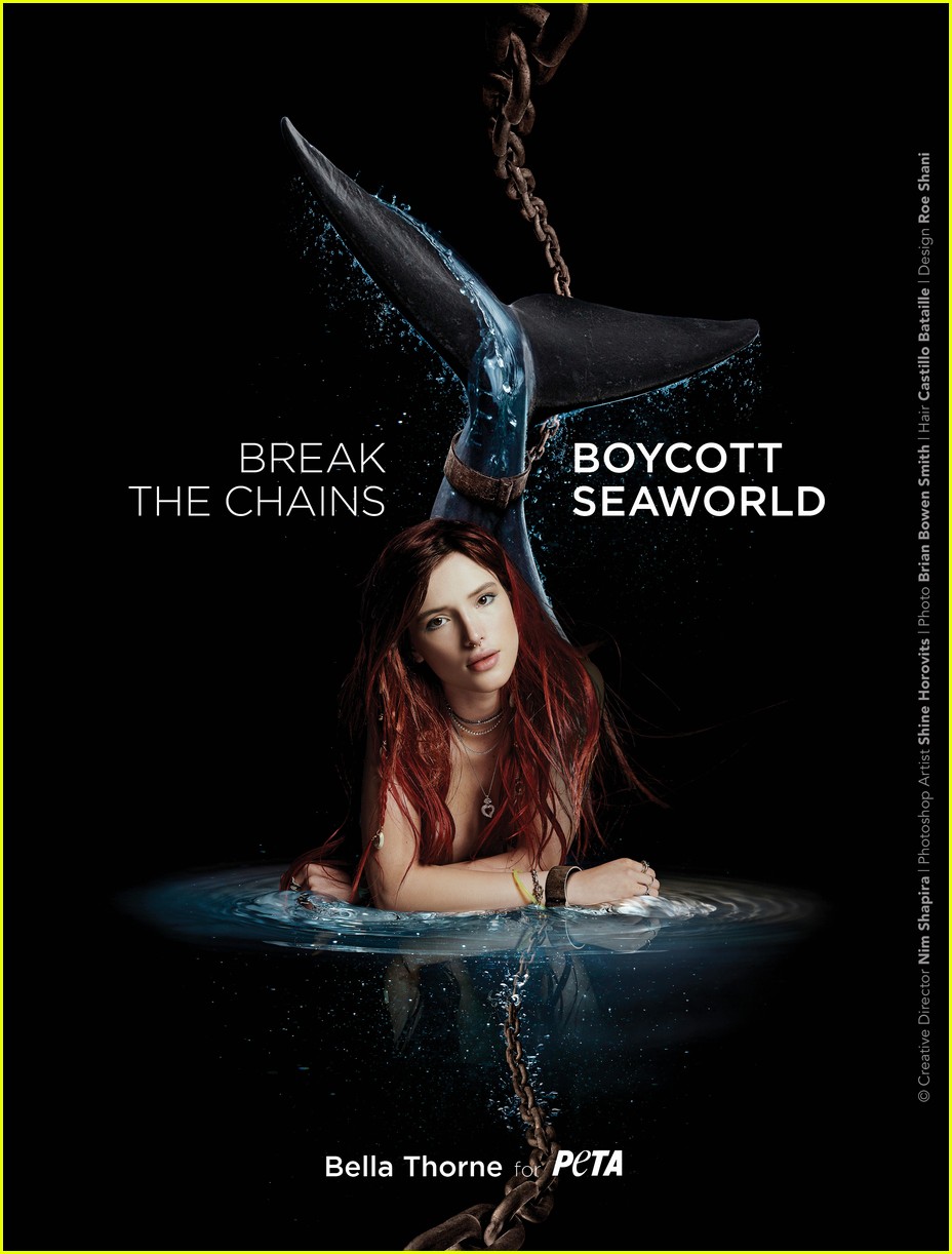 bella thorne boycott seaworld ad