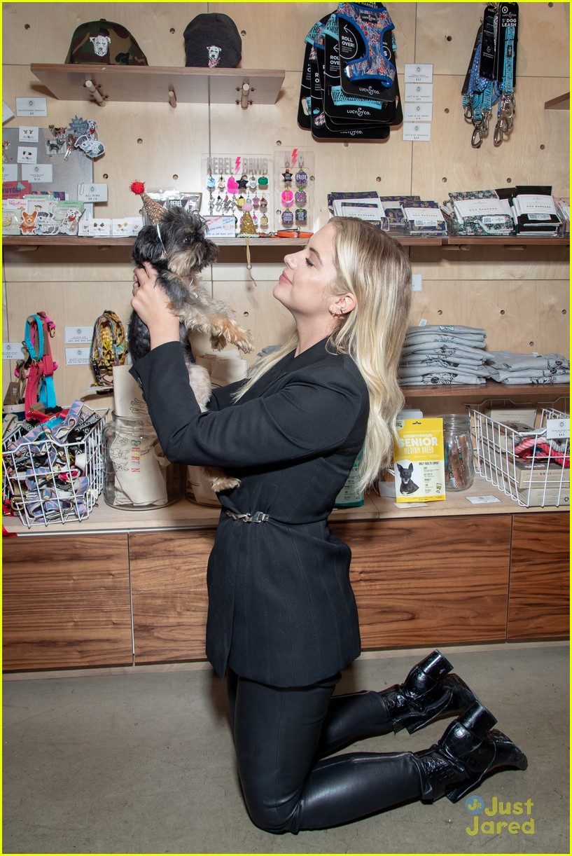 ashley benson walter smarty paws olay things 10