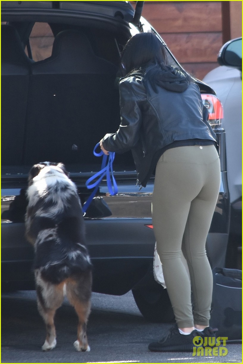 ariel winter takes her pup to the vet 05