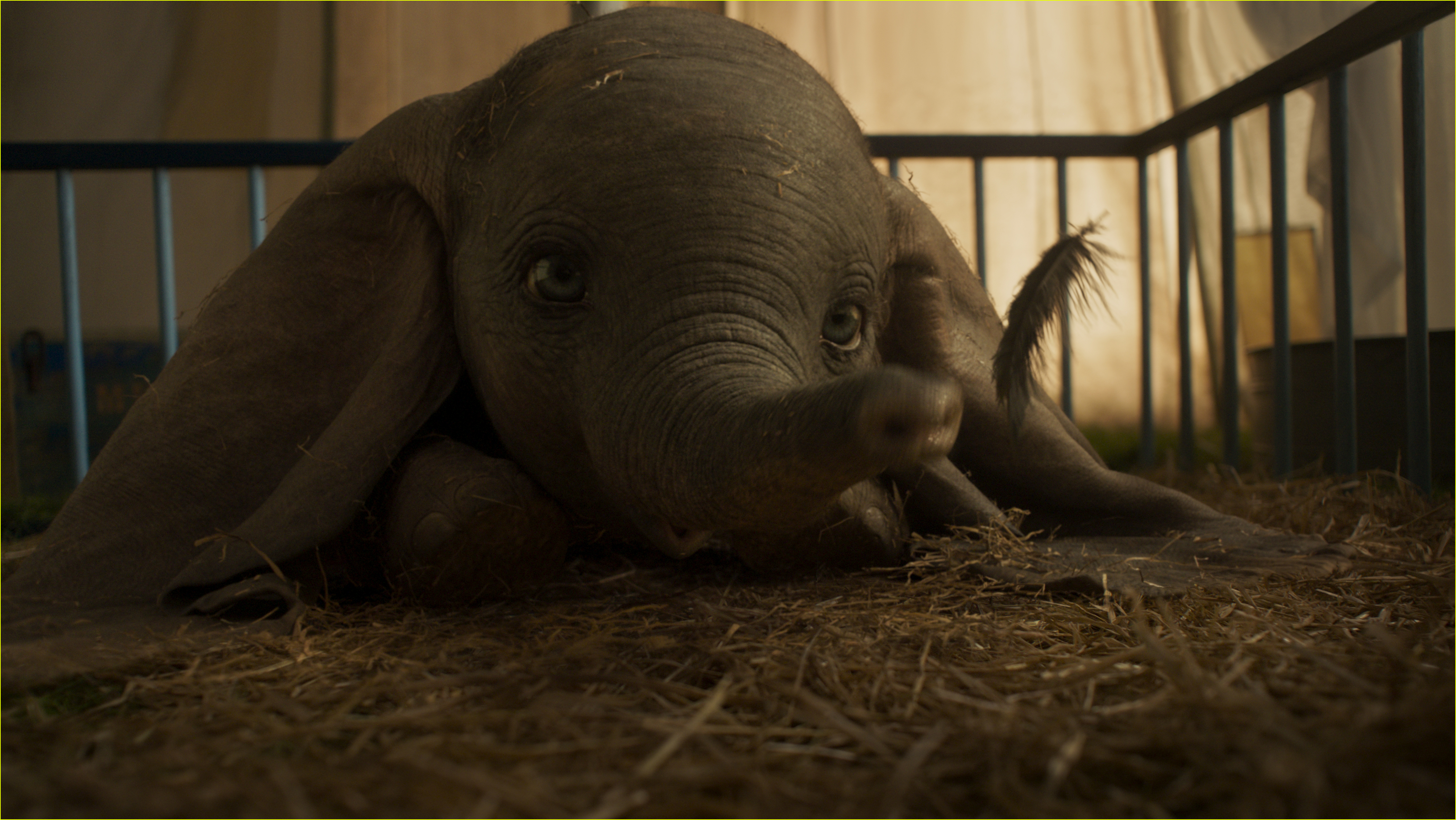 dumbo is welcomed into the circus in new trailer 01