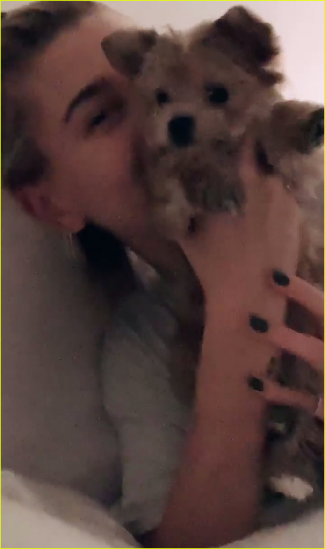 justin hailey bieber adopt adorable puppy for christmas 11